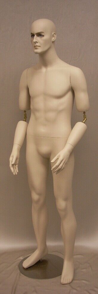Fiberglass Realistic Adult Male Short Height Mannequin with Movable Elbows